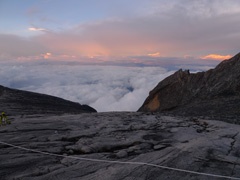 P1070644a.jpg